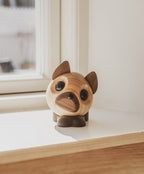 benny den franske bulldog i en vindueskarm