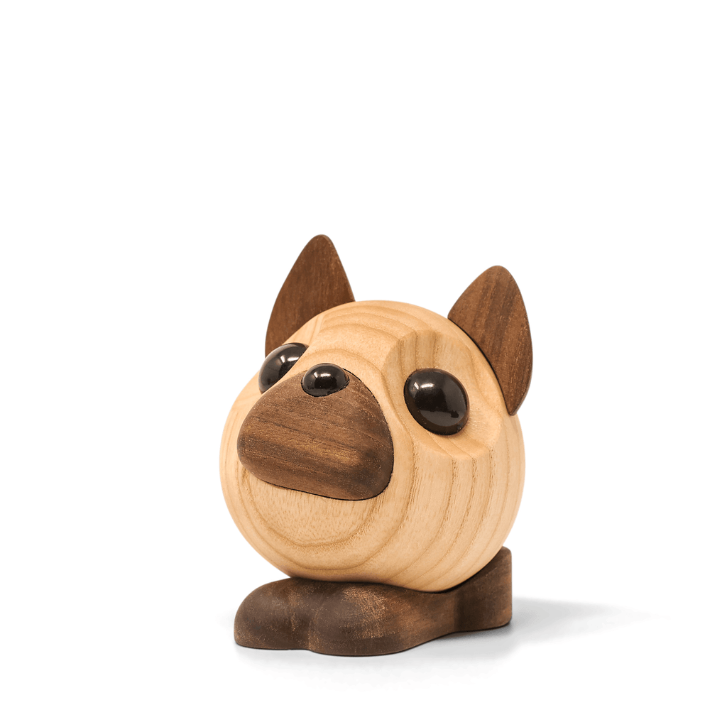 Benny - den Franske Bulldog