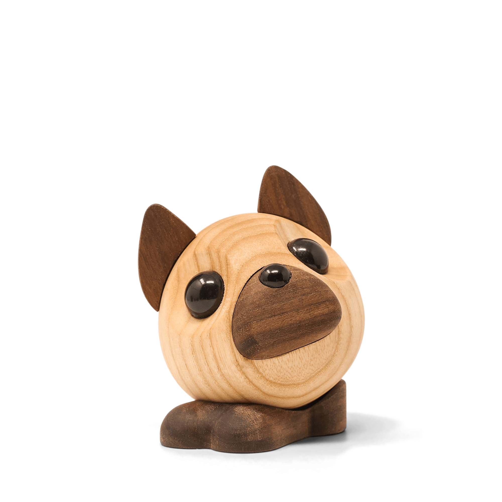 Benny - den Franske Bulldog