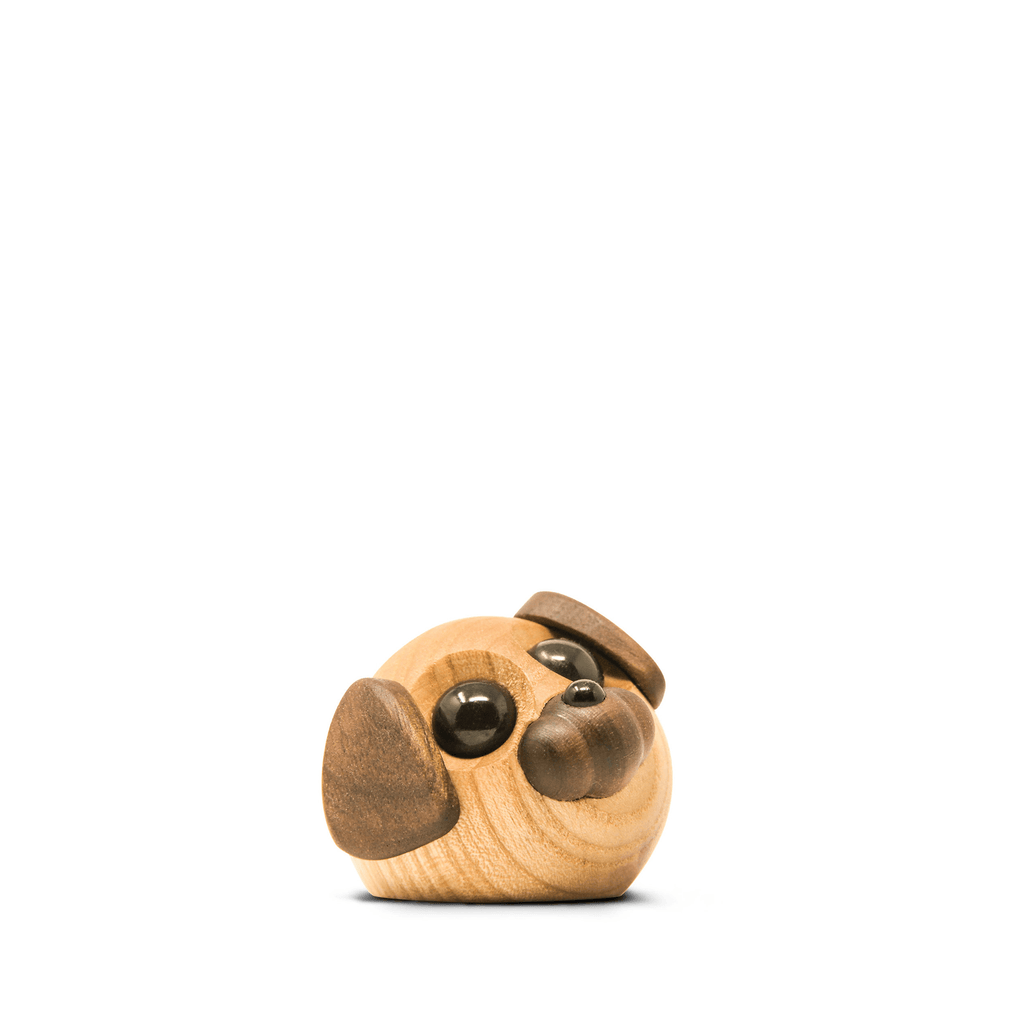 Molly - den lille hund